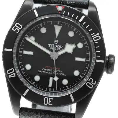 Tudor Black Bay 79230DK