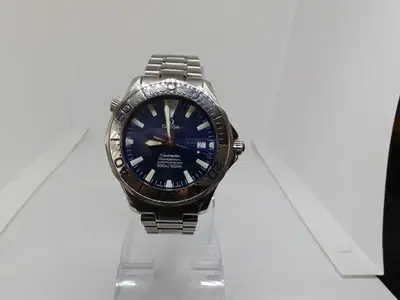 Omega Seamaster Professional 300 case
