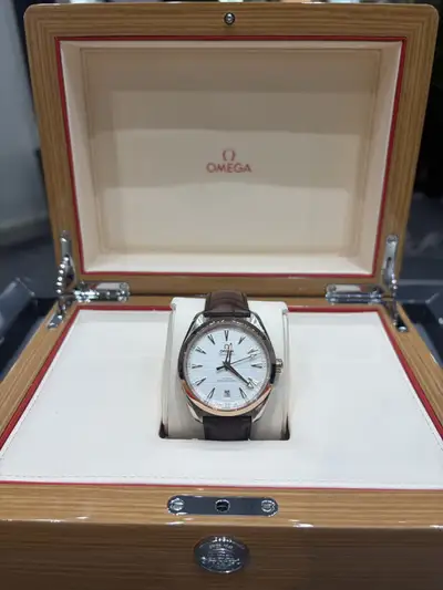 Omega Seamaster Aqua Terra Steel And