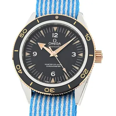 Omega Seamaster 233.20.41.21.01.001