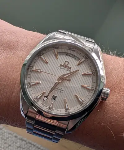 Omega Aqua Terra Stainless Steel