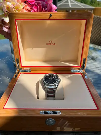 Omega Seamaster 231.10.42.21.01.003