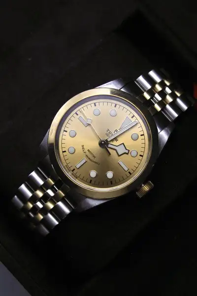 Tudor Black Bay 79503