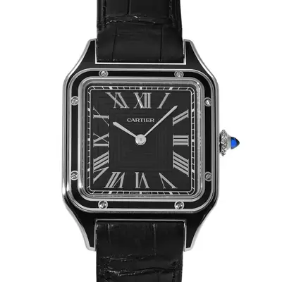 Cartier Santos WSSA0046 4298) 43. Black