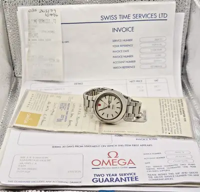 Omega Seamaster Electronic f300 Hz Cone