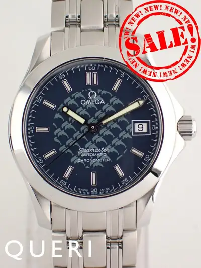 Omega Seamaster 2508.80.00