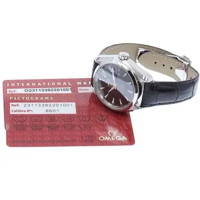 Omega Seamaster 231.13.39.22.01.001
