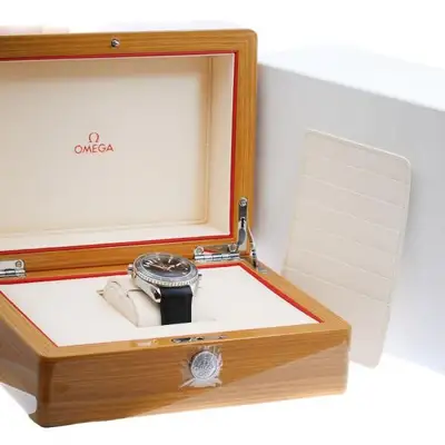 Omega Seamaster 232.32.46.21.01.003