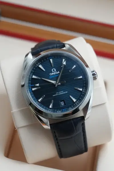 Omega Aqua Terra 220.13.41.21.03.001