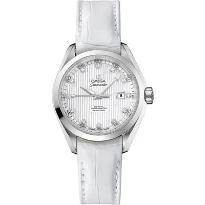 Omega Seamaster 231.13.34.20.55.001