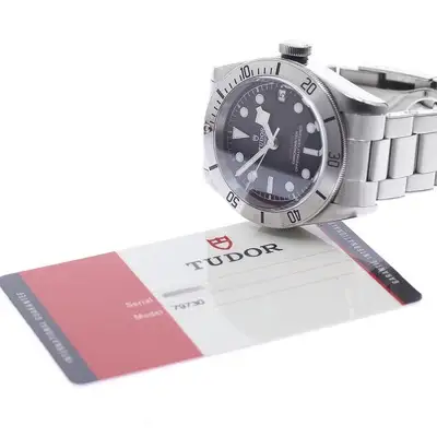 Tudor Black Bay 79730