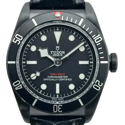 Tudor Black Bay 79230DK