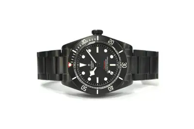 Tudor Black Bay 79230DK