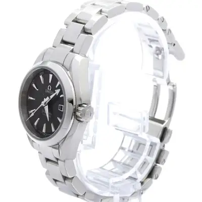 Omega Seamaster Aqua Terra Stainless Steel