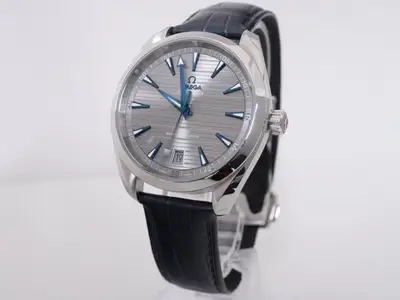 Omega Seamaster 220.13.41.21.06.001