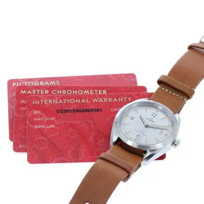 Omega Seamaster 220.12.40.20.06.001