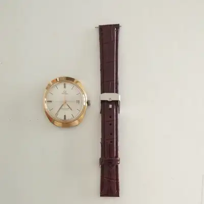 Omega Seamaster Cosmic