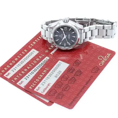 Omega Seamaster 231.10.30.20.06.001