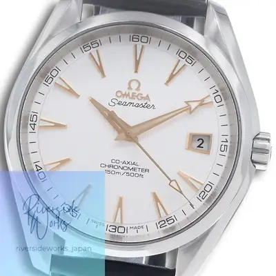 Omega Seamaster 231.13.42.21.02.002