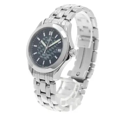 Omega Seamaster 2508.80