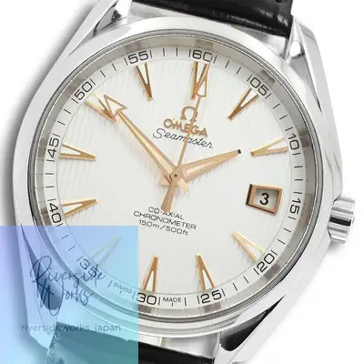 Omega Seamaster 231.13.42.21.02.002