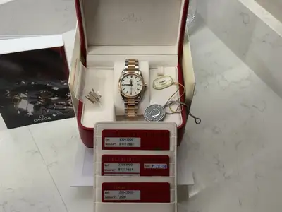 Omega Seamaster Aqua Terra Steel Rose