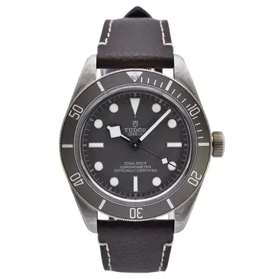 Tudor Black Bay 79010SG