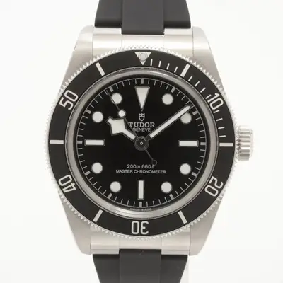 Tudor Black bay 7941A1A0NU SS SS