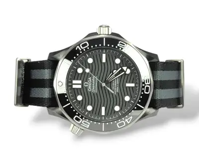 Omega Seamaster 21092442001002 43
