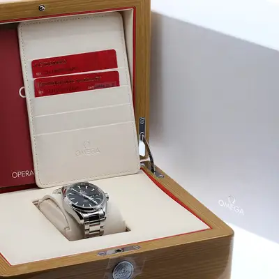 Omega Seamaster 231.10.39.22.01.001