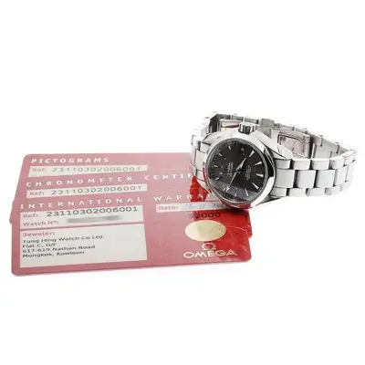 Omega Seamaster 231.10.30.20.06.001