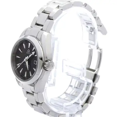 Omega Seamaster Aqua Terra Stainless Steel