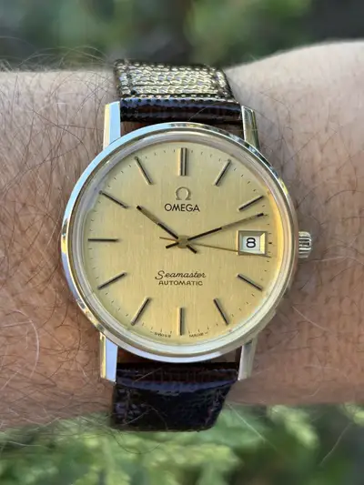 Omega Seamaster Men Amazing