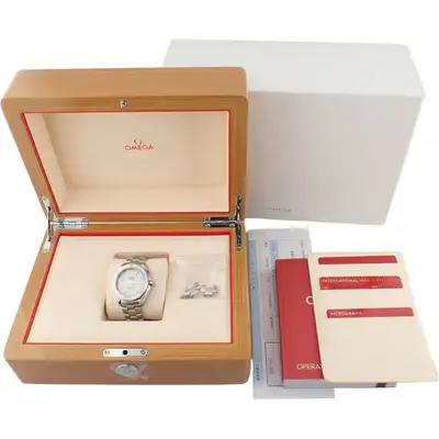 Omega Seamaster 232.30.38.20.04.001