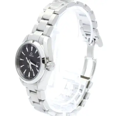Omega Seamaster Aqua Terra Stainless Steel