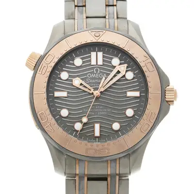Omega Seamaster 210.60.42.20.99.001