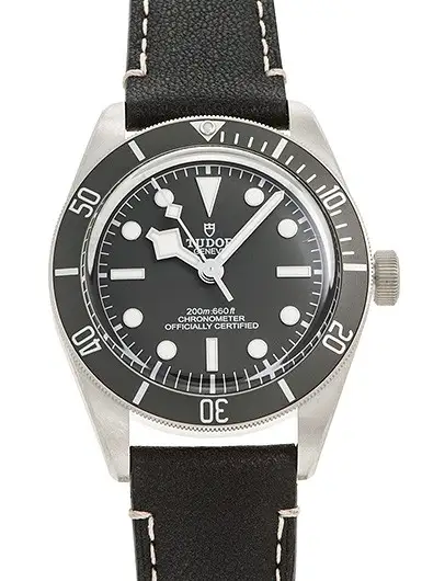 Tudor Black Bay 79010SG