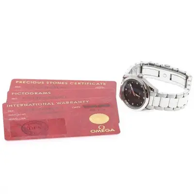 Omega Seamaster 220.10.28.60.51.001