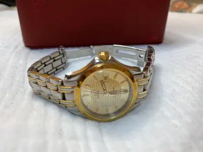 Omega Seamaster Analog Women Stainless Steel