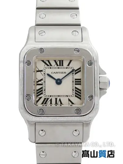 Cartier Santos W20056D6/1565 Stainless Steel #TW3954
