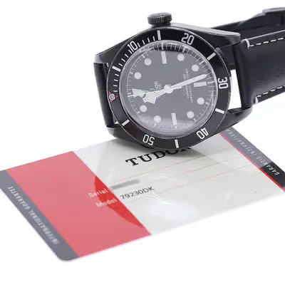 Tudor Black Bay 79230DK