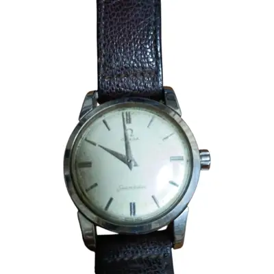 Omega Seamaster Stainless Steel