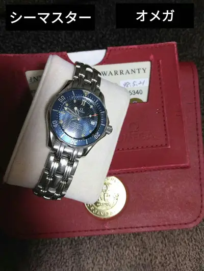 Omega Seamaster 258380