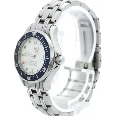Omega Seamaster Professional Stainless Steel
