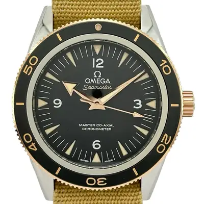 Omega Seamaster 233.20.41.21.01.001