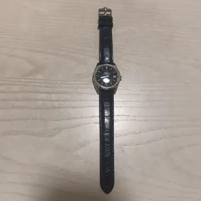 Omega Seamaster