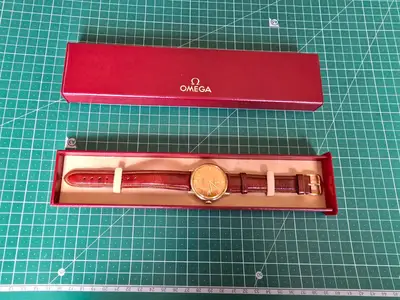 Omega Seamaster 166.020