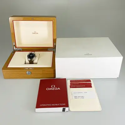Omega Seamaster 220.10.38.20.03.001