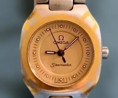 Omega Seamaster Polaris Silver