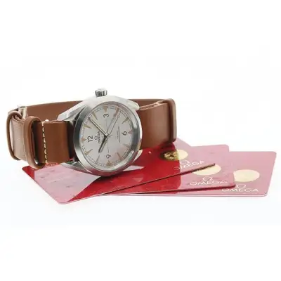 Omega Seamaster 220.12.40.20.06.001